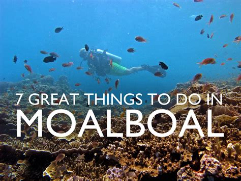 Great Things To Do In Moalboal Cebu Eazy Traveler