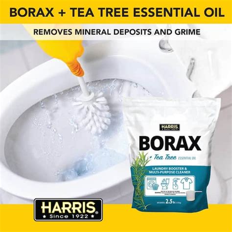 Borax Powder