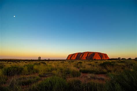 Australia Unveiled 12 Mind Boggling Facts That Defy Expectations The