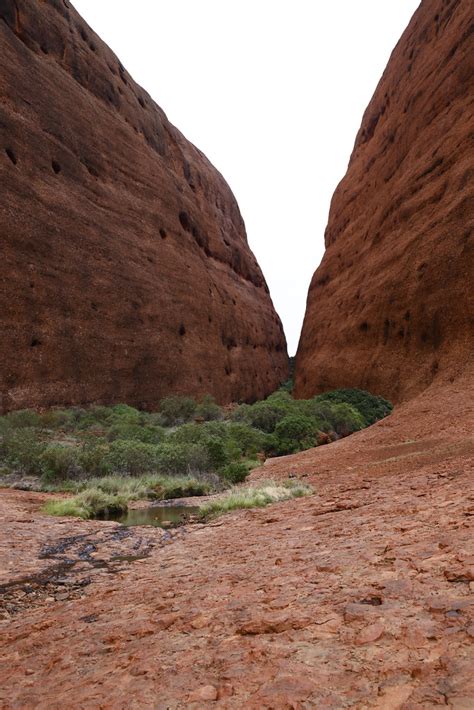 Walpa Gorge V The Olgas Uluru Kata Tjuta Np Nt Bruce King