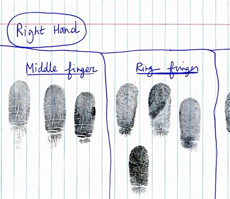 Hand Readings Of Famous People How To Read Hands