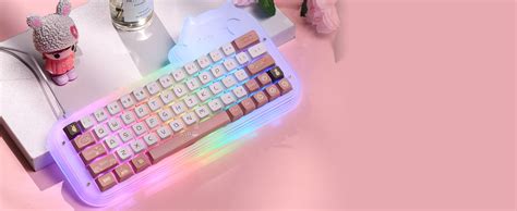 EPOMAKER Mini Cat 64 60 Hot Swappable Acrylic RGB Wired Mechanical Gaming Keyboard VIA
