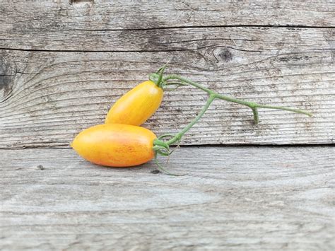 Бананово-лимонный Сингапур — Banana Lemon Singapore — Перцовая ферма ...