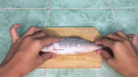 Gambar Anatomi Ikan Bandeng 49 Koleksi Gambar