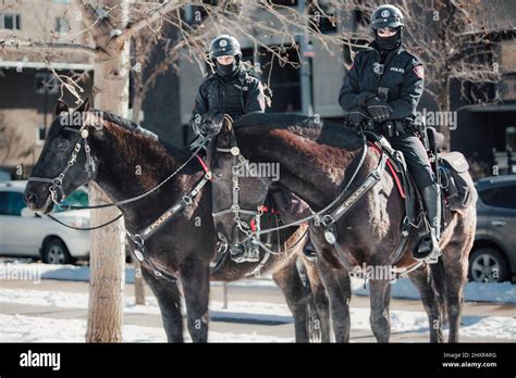 Calgary mounted police unit hi-res stock photography and images - Alamy