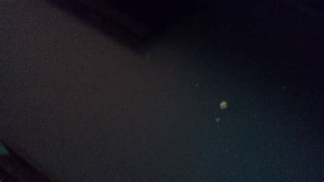 I Fuck Crackers YouTube