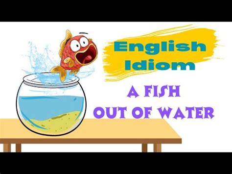 Fish Out Of Water English Idioms Idiom Englishidiom