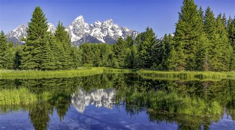 4K Grand Teton National Park USA Parks Lake Mountains Forests