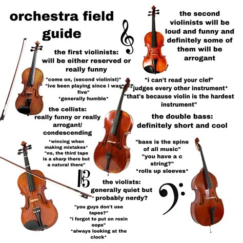 Orchestra Field Guide with Four Violins