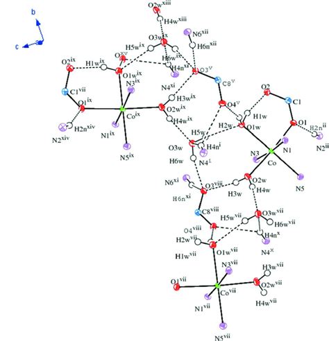 Helical Hydrogen Bonded Ladder Composed Of R 33 8 And R 44 10 Download Scientific Diagram