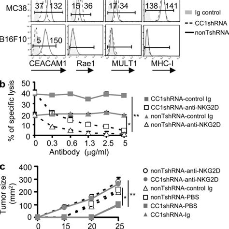 CEACAM1 Regulates NKG2DL Expression And NKG2D Mediated Tumor Cytolysis