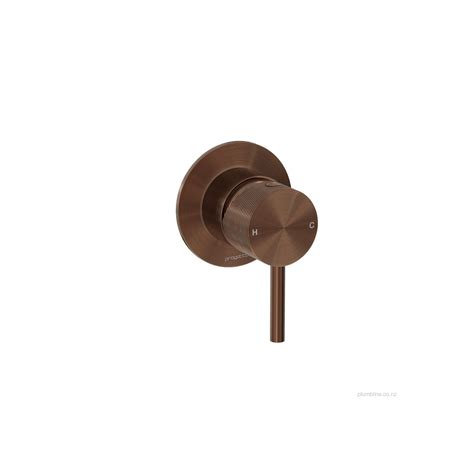 Oli 316 Shower Mixer With Linea Handle ArchiPro NZ