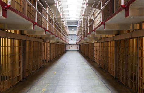 Celebrities to experience prison life in new Channel 4 show