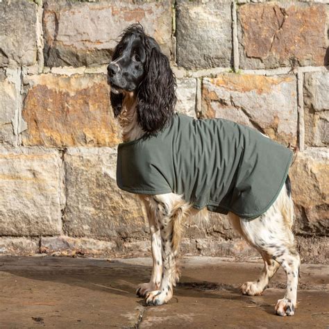 Dog & Field 2 in 1 Waterproof Drying Coat | Gundog Coats