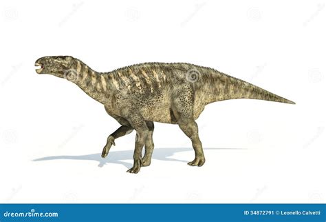 Iguanodon Dinosaur Photorealistic Representation Side View Stock