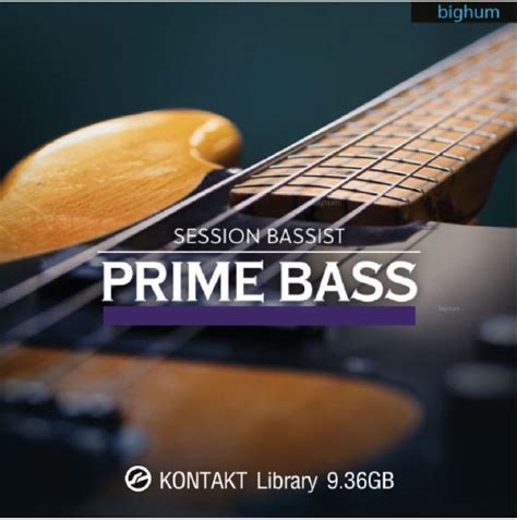 Kontakt Session Bassist Prime Bass Vst Sound Library Winmac ทักแชท Read Chat Th