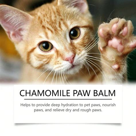Cat & Dog Paw Care Balm - Gentle Formula, Deep Moisturizing, Prevents