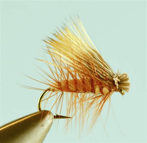 Top Tan Caddis Fly Patterns The Missoulian Angler Fly Shop