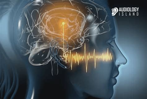 Insights Into Sound Processing In The Brain Audiology Island