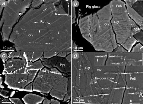 Backscattered Electron Bse Images Of The Sixiangkou Meteorite Showing