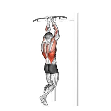 Wide Grip Pull Ups Muscles Worked