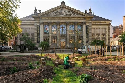 Le muséum d histoire naturelle de Nantes 44 développe son accueil