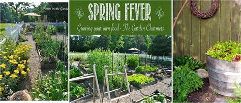 Growing Food In Your Yard Ideas