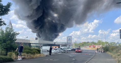 Video Gro Brand In Wittlich