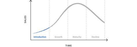 Product Life Cycle Stages And How To Use Them