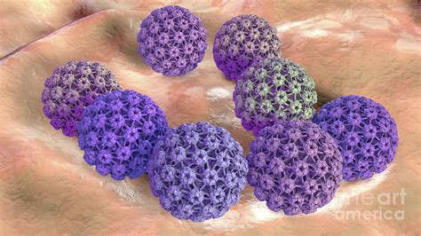 Human Papilloma Virus Photograph By Kateryna Konscience Photo Library