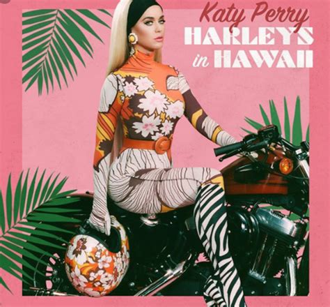 Harleys In Hawaii By Katy Perry Song Meanings And Facts