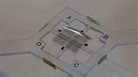 Scientists develop new artificial muscle for soft robots