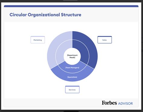 7 Organizational Structure Types With Examples Forbes Advisor