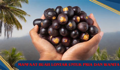 Manfaat Buah Lontar Untuk Pria Dan Wanita Yang Luar Biasa Sijanol