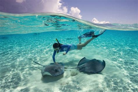 Half Moon Cay Snorkel With Sting Rays Vacation Places Vacation