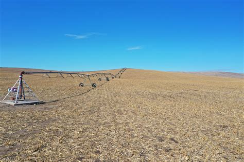 161 57 ACRES PIVOT IRRIGATED CROPLAND BUFFALO COUNTY NE