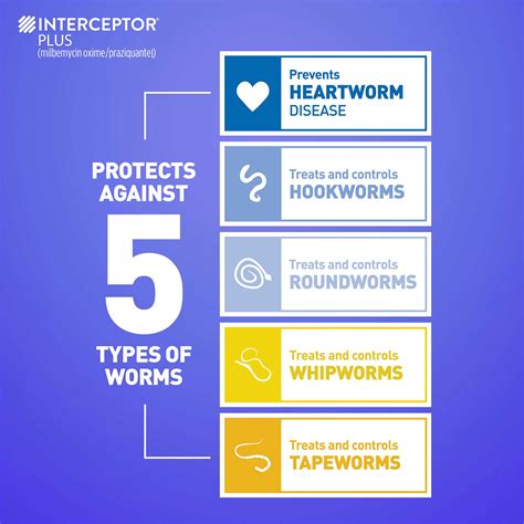 Interceptor Plus Heartworm Prevention 1800petmeds