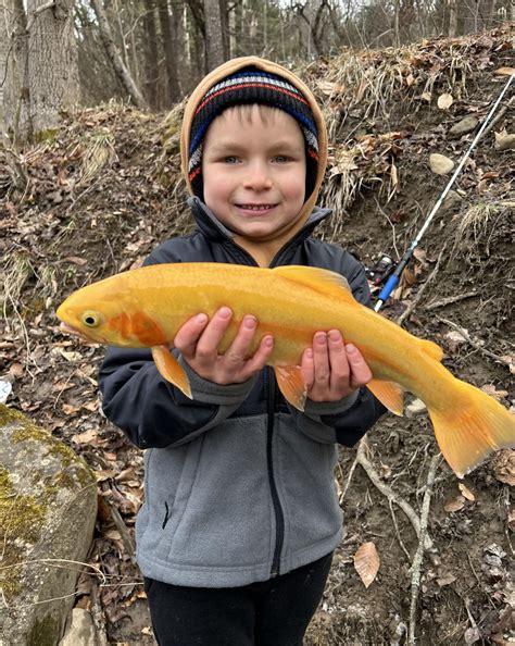 High water to impact trout opener Saturday | News, Sports, Jobs - Times