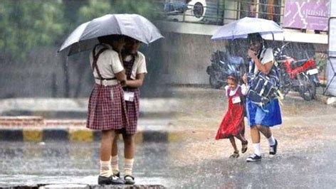 Live Chennai: Due to the heavy rain warning, 20 districts have declared