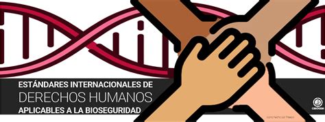 Listado De Estándares En Derechos Humanos