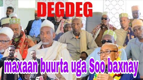 XAALADII UDANBAYSAY EE SOMALILAND DOORASHDII GARXEJIS OO CIRIA LOO