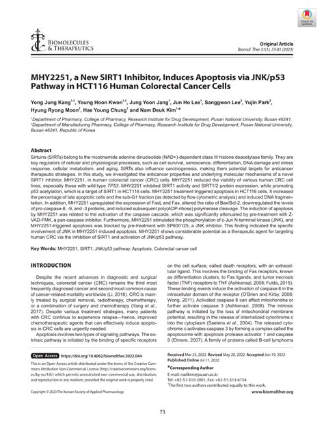 Pdf Mhy2251 A New Sirt1 Inhibitor Induces Apoptosis Via Jnkp53