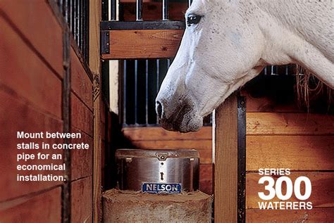 Automatic Livestock Waterers | Series 300 Cattle | Nelson