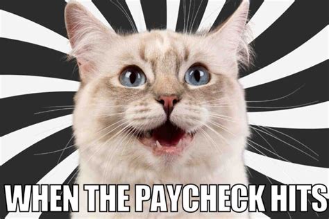 25 Hilarious Payroll Memes For Laughs Until Payday