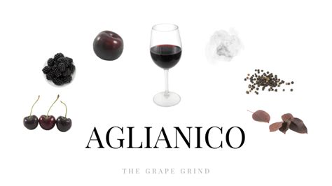 All You Need to Know About Aglianico: A Quick Guide | The Grape Grind