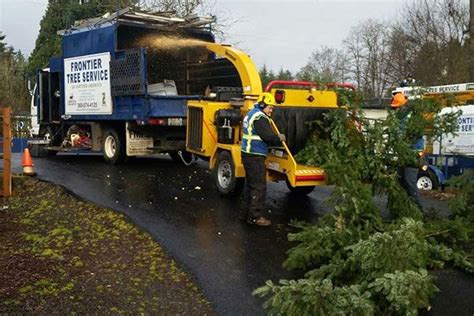 Tree Experts In Vancouver Wa Frontier Tree Service