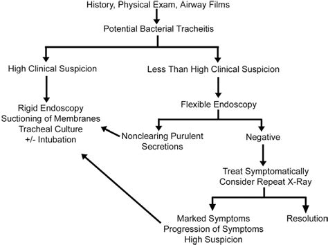 Bacterial Tracheitis Reexamined Is There A Less Severe Manifestation Salamone 2004