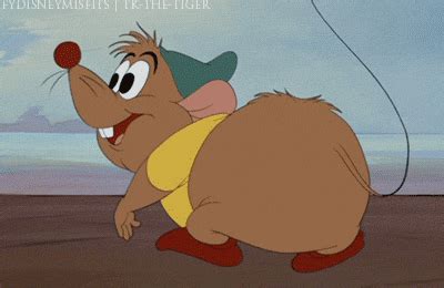 Fat Mouse GIF - Find & Share on GIPHY