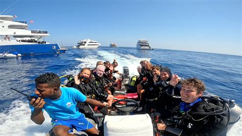 Red Sea Aggressor Iv Adventure Logs