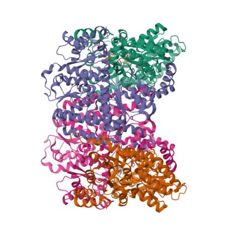 RCSB PDB 3K1A Insights Into Substrate Binding At FeMo Cofactor In